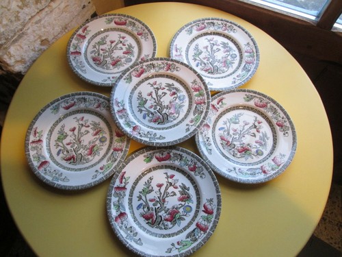 Assiettes dessert gâteaux - 6,